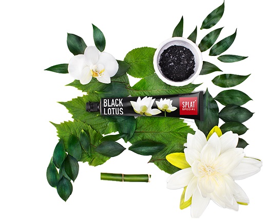 black lotus