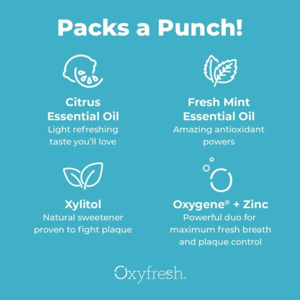 Oxyfresh Fresh Breath Lemon Mint hambapasta