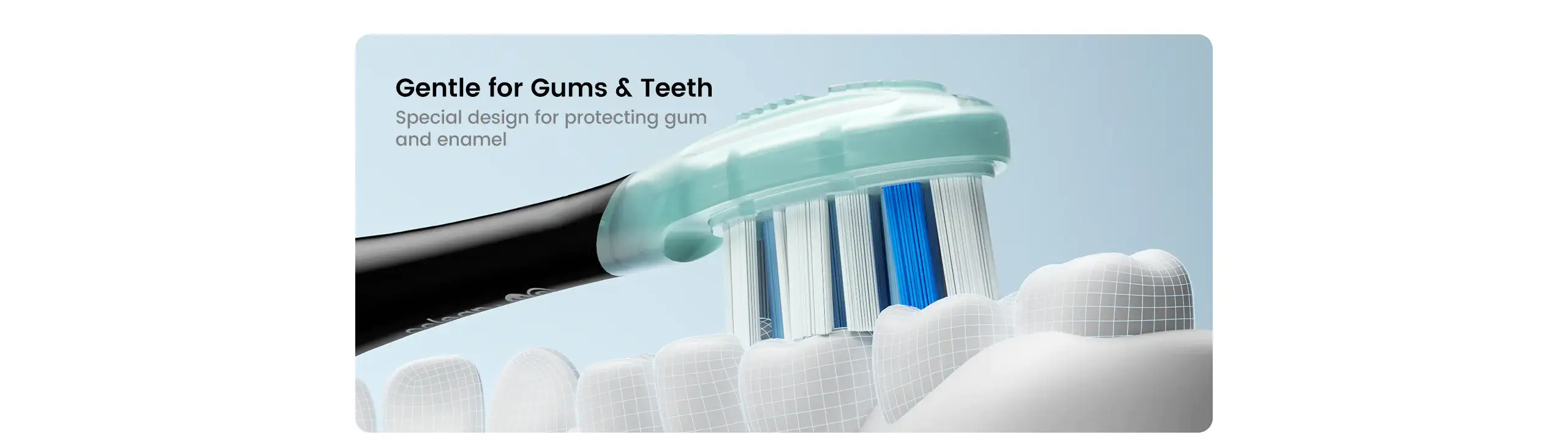 Oclean Ultra otsikud