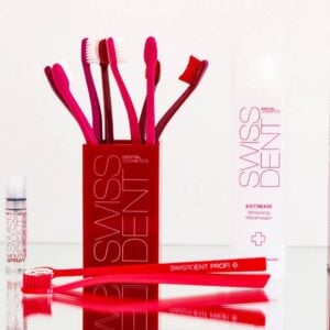SwissdentbrushHolder